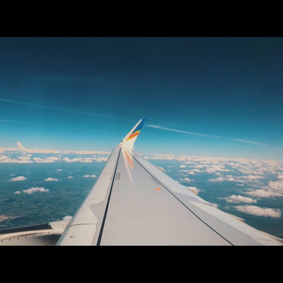 Meet your Posher, Avrie - Picture 3 of 5